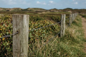 Naklejka premium Wooden fence post with barbed wire in a green natural setting