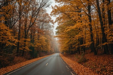 Obraz premium Deserted Path Surrounded by Autumnal Woodland