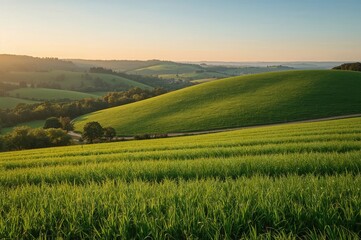 Fototapeta premium Twilight glow over expansive verdant landscapes