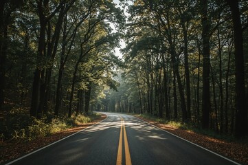 Fototapeta premium Deserted Pathway Amidst the Forest