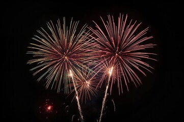 Multicolored fireworks bursting against a night sky
