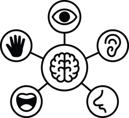 Diagram of the five senses connected to the brain in a circular infographic