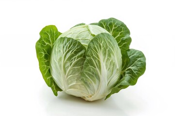 Obraz premium Fresh Chinese green cabbage isolated on white