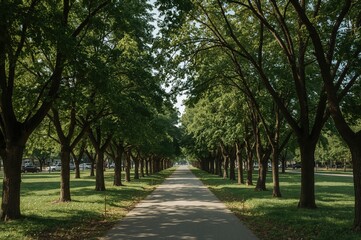 Lush pathway surrounded by ancient trees
