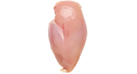 Isolated Chicken Breast
