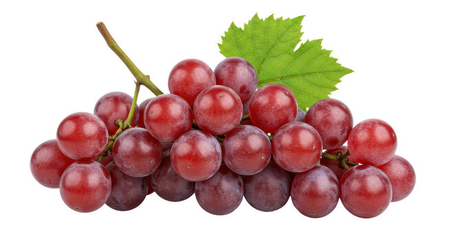 Isolated Bunch of Red Grapes - Powered by Adobe