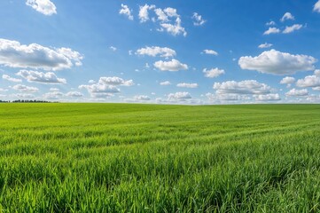 Fototapeta premium Beautiful verdant meadows in springtime