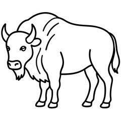 Wild Bison Outline line art