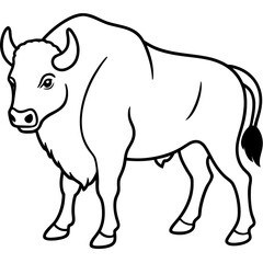 Wild Bison Outline line art