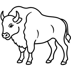 Wild Bison Outline line art