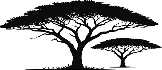 Silhouette of two iconic acacia trees in the african savanna