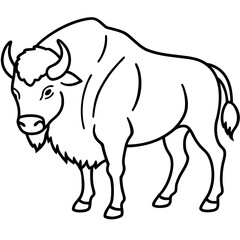 Wild Bison Outline line art