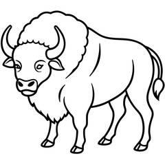 Wild Bison Outline line art