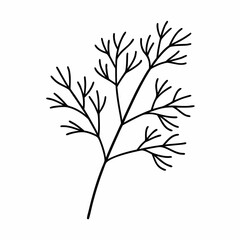 Dill Herb Leaf Outline Vector