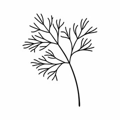 Dill Herb Leaf Outline Vector