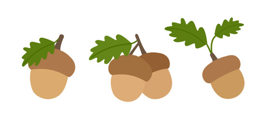 Set of flat autumn acorn flat stock vector isolated.
Ripe brown acorn 
For Harvest, Thanksgiving. 
White background.
