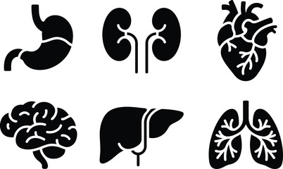Set of human organ icons including stomach kidneys heart brain liver and lungs