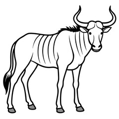 Wild Safari Wildebeest line Art Vector