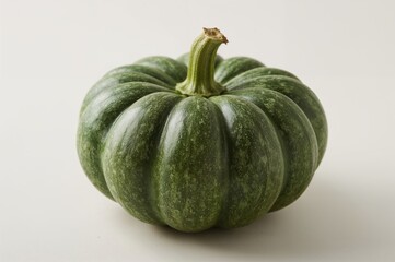 Vintage tromboncino squash variety fresh harvest