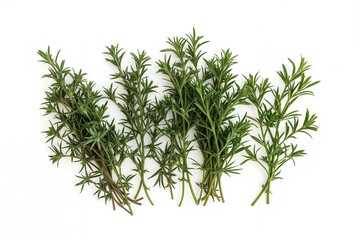 Fototapeta premium Top view of fresh herbs and spices on a white surface