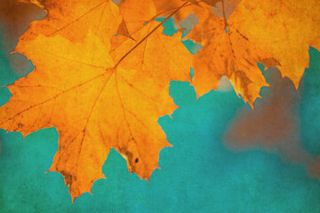 Autumn leaves over vintage background. Perfect grunge fall texture.
