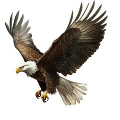 Obraz premium Flying Eagle Minimalist Transparent Design