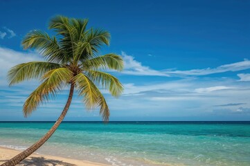 Fototapeta premium Graceful palm tree against a coastal background