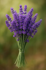 close up of lavender