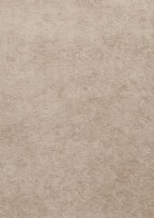 Fototapeta premium Textured beige paper background