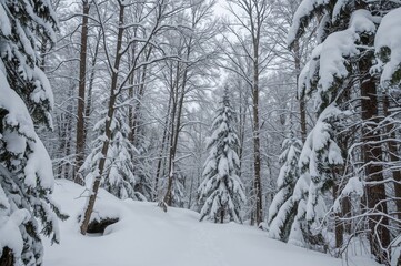 Fototapeta premium Winter landscape with heavy snowfall in the woods
