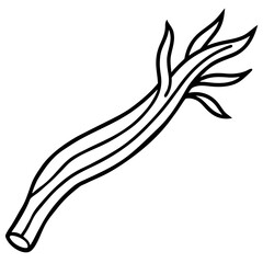 Licorice Root Line Art – Clean Vector Outline