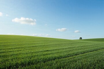 Obraz premium Agricultural land under a clear sky