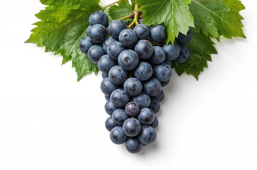 Fototapeta premium Nutritious snack featuring blue grapes and fresh green foliage against a white backdrop