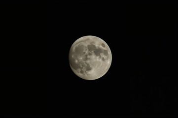 Obraz premium The Moon as a Bright Full or Super Moon Phenomenon