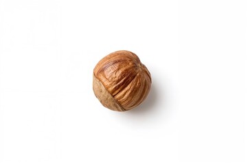 Single hazelnut on a plain white backdrop