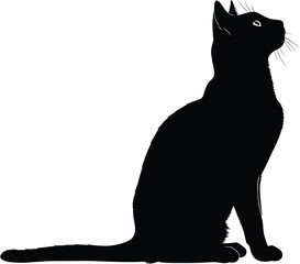 Black cat silhouette sitting upright, vector illustration, feline pose, curious domestic pet, isolated on white background, minimal animal artwork