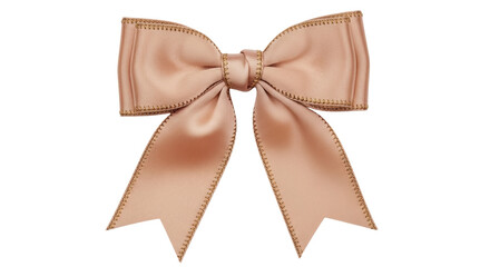 Isolated Satin Ribbon Bow