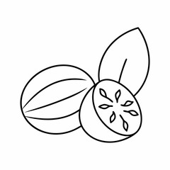 Nutmeg Spice Outline Vector