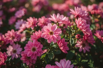 Obraz premium Gorgeous Blossoming Floral Backdrop