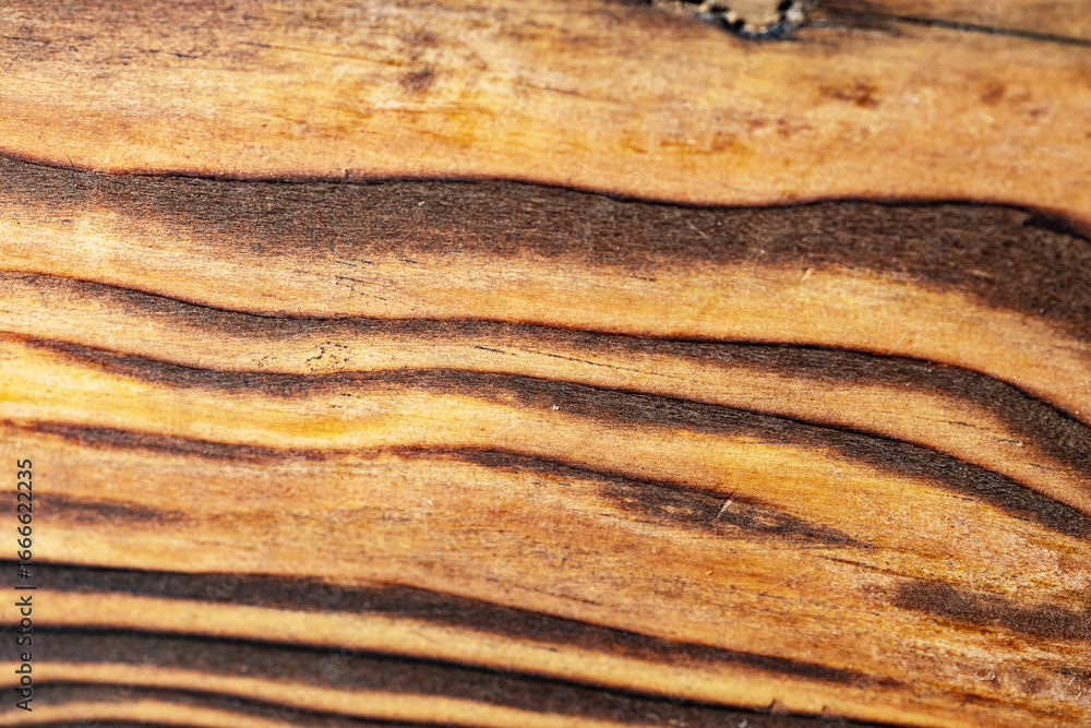Poster closeup view of the intricate grain pattern of rustic hardwood surface. wood texture background