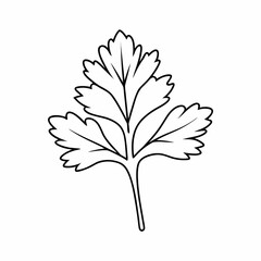 Parsley Leaf Vector Outline