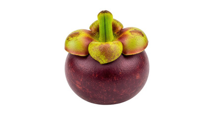 Isolated Mangosteen Fruit