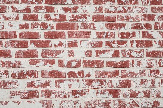 Fototapeta Classic red brick wall texture with white wallpaper and wine decor in a cozy home setting