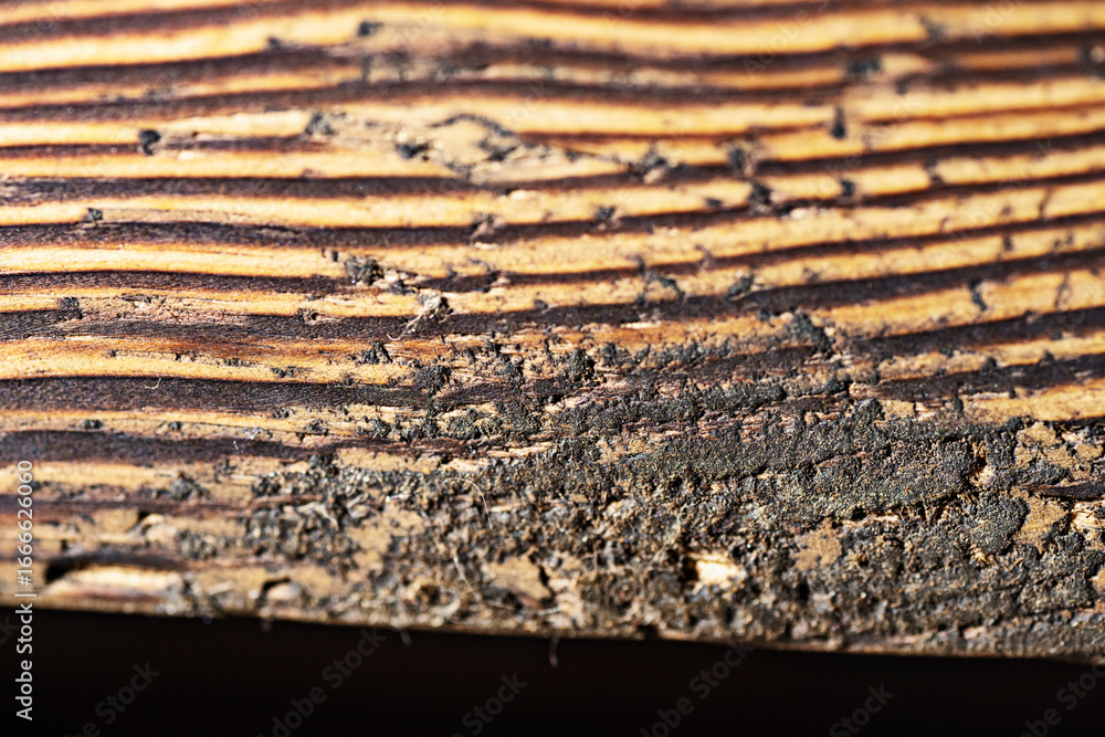 Aufkleber closeup view of the intricate grain pattern of rustic hardwood surface. wood texture background