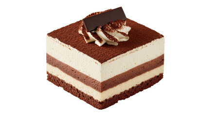 Isolated Chocolate Cake Slice on White Background