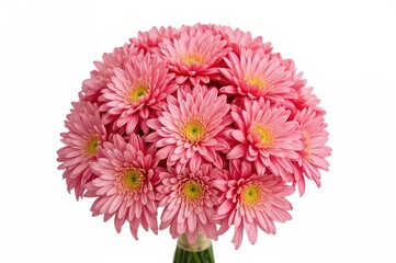 Pink autumn chrysanthemum bouquet set against a white backdrop