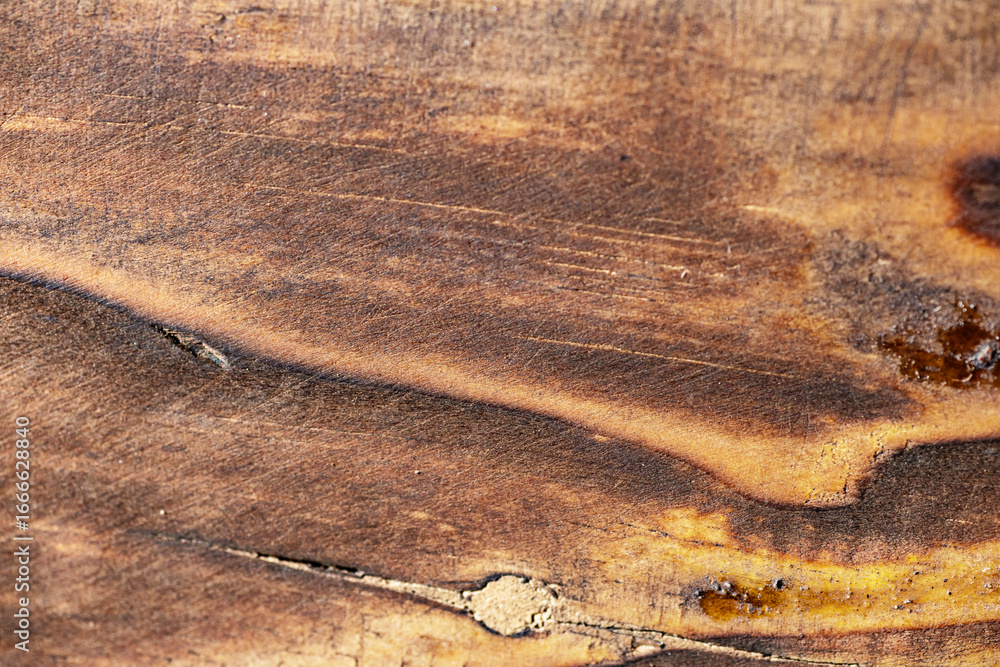 Poster closeup view of the intricate grain pattern of rustic hardwood surface. wood texture background