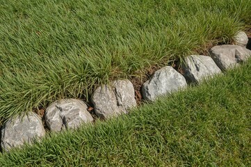 Fototapeta premium Rock and grass meeting at the boundary with intrusion