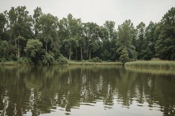 Fototapeta premium Tranquil pond surrounded by forest, reflecting a cloudy sky. Mixed media collage with photography and watercolor texture.