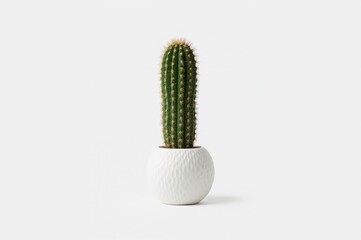 Naklejka premium Succulent cactus displayed in a pot against a plain backdrop